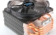 CNPS10XOptima_b_08